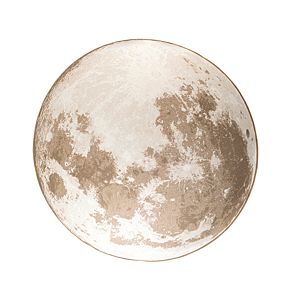 Zuiver Moon vloerkleed-Soft latte-Ø 280 cm